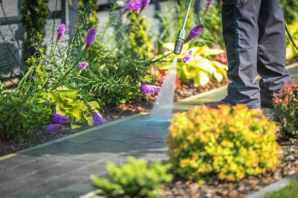 Best Patio and Deck Pressure Washing  in Salem, NJ